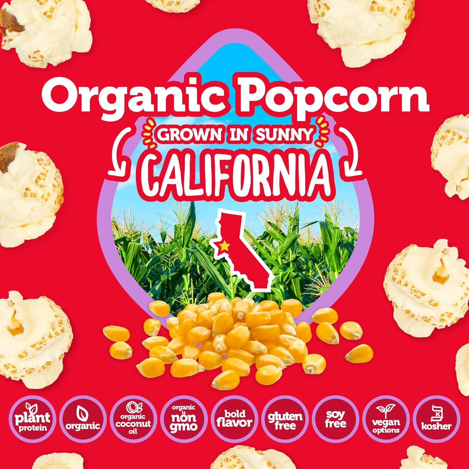 IWON Organics Protein Popcorn (1 bag) Protein Snacks White Truffle & Sea Salt,White Cheddar,Sweet&Salty IWON Organics
